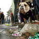 Image for article titled Happy Fat Tuesday: Top 10 Alcohol & Boobie Related Gadgets